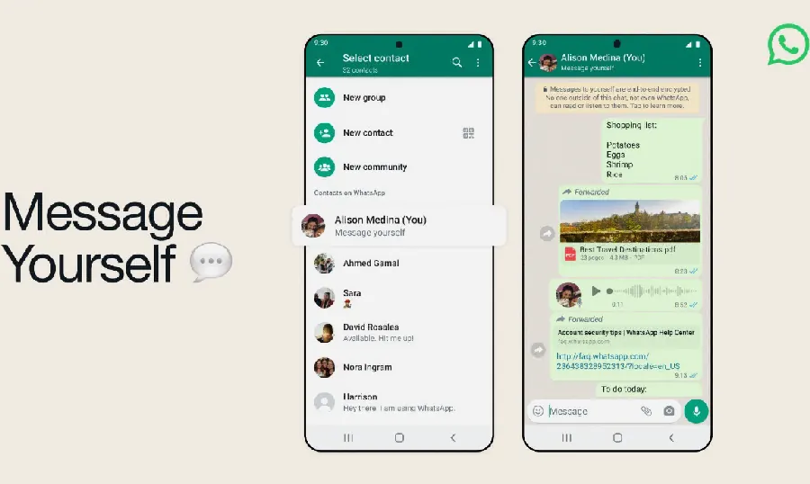 WhatsApp 在线状态与最后上线：隐私控制示意图
