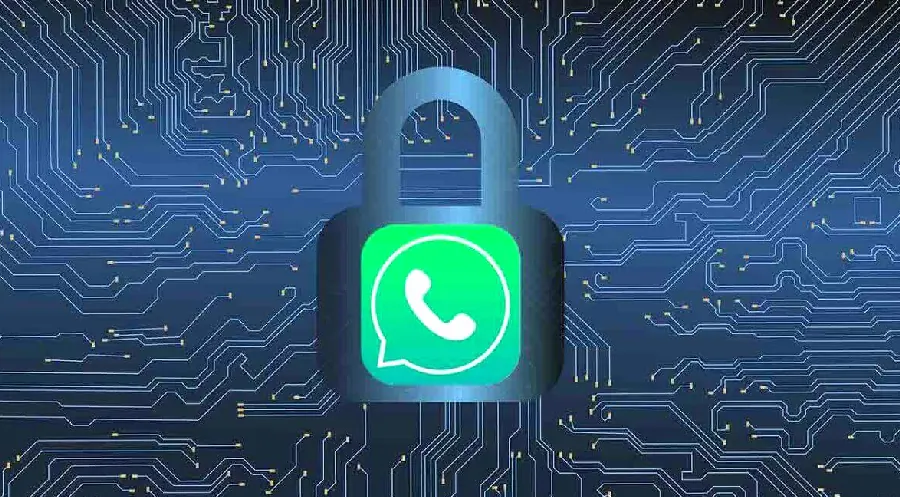 WhatsApp 账号被盗：找回与防护示意图